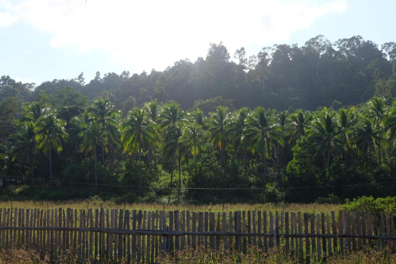 Palayan Paradise Huts San Vicente  Kültér fotó